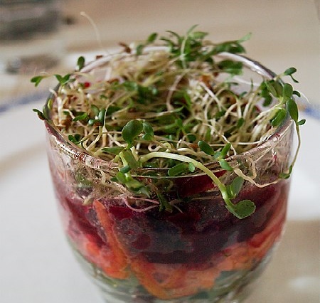 verrine vegan pour apéritif